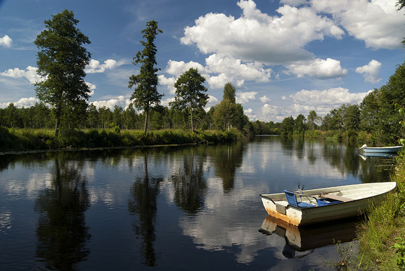 Calm lake in Sweden