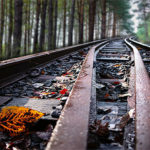 Railtrack and leaves