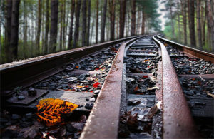 Railtrack and leaves