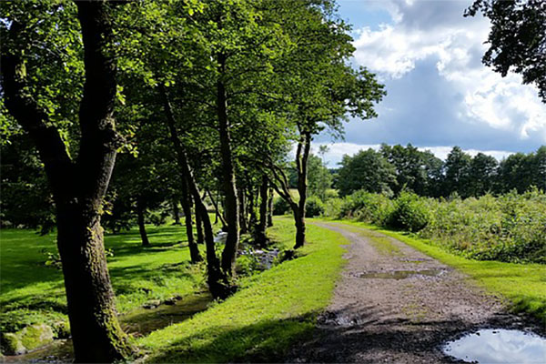 Ardennes in Belgium