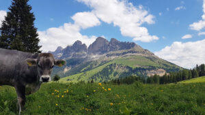 Trentino Alto Adige, Italy