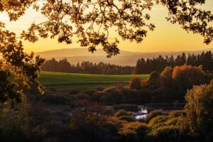 Nature hike in autumn