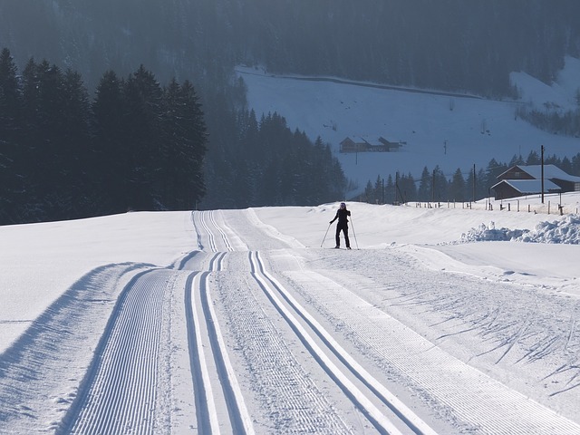 Vast winter landscape for skiing