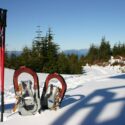 Snowshoes and ski pole