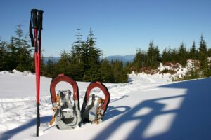 Snowshoes and ski pole