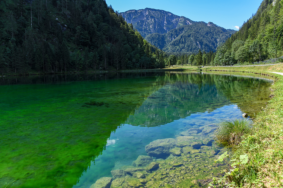 Scenic lake and shore