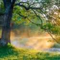 Spring in nature with the sun setting over a lake.