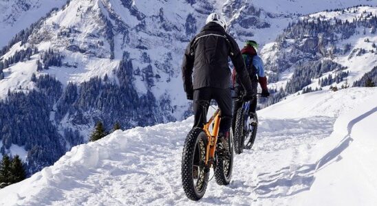 Fat bikes in the snow