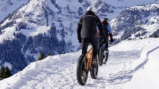 Fat bikes in the snow