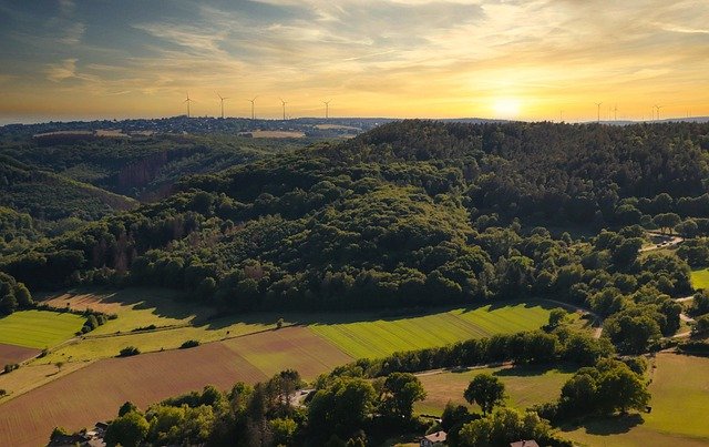 Eifel forest from above