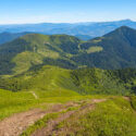 Green hills covered in fresh grass in summertime.