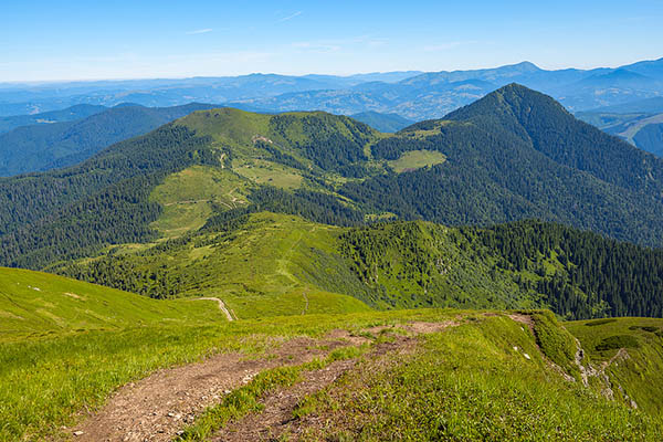 Green hills covered in fresh grass in summertime.