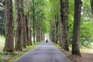 Long-distance bicycling in summertime.