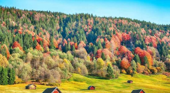 Autumn view of alpine valley in Germany
