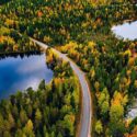 Country road in autumn