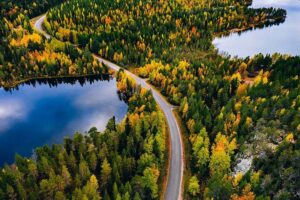 Country road in autumn