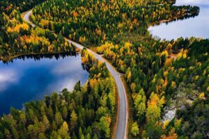 Country road in autumn