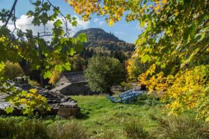 Autumn in Auvergne in the Loire Valley