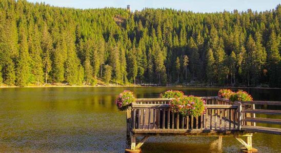 Mummelsee in the Black Forest, Germany
