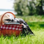 Picnic basket with book
