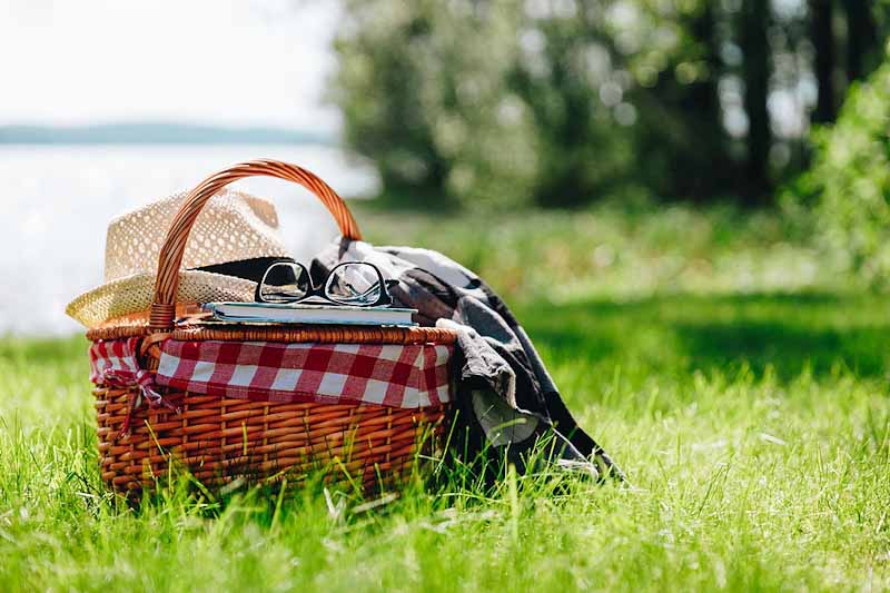 Picnic basket with book