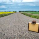 Vintage suitcase on a road.