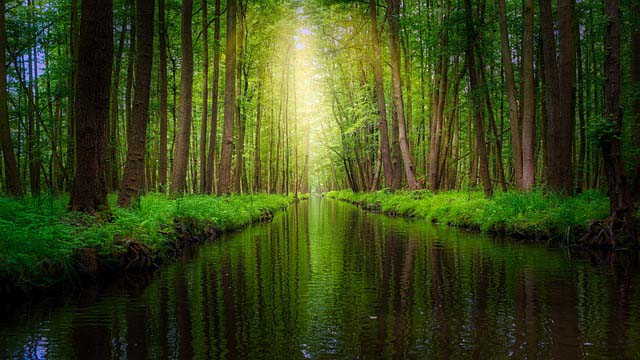 Spreewald in Germany