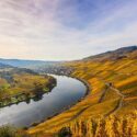 Moselle in autumn