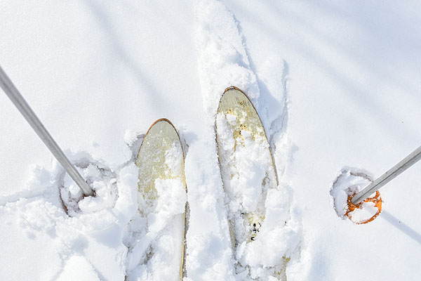 Skis and ski poles.