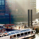 Sunny day in a marina in Hamburg, Germany