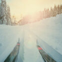 Panorama of Nordic skiing on a sunny day