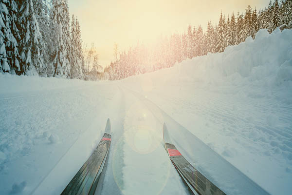 Panorama of Nordic skiing on a sunny day