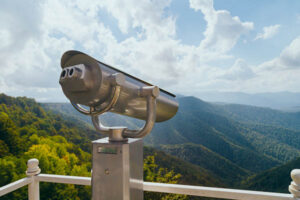 Binoculars above a forest, cloudy sky.