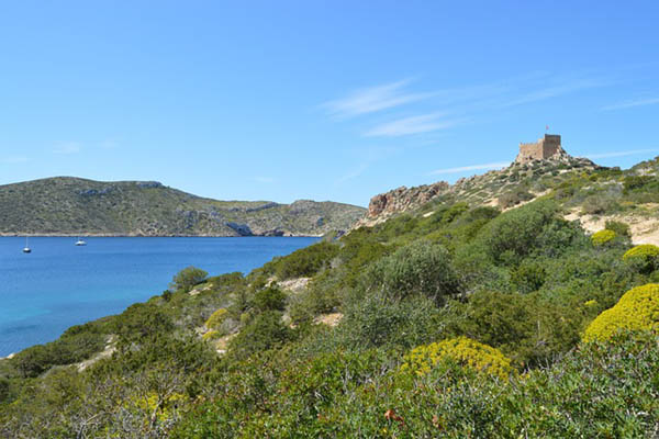 Cabrera castle on the island Cabrera.