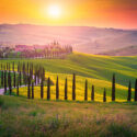Field in Tuscany, Italy at sunset.