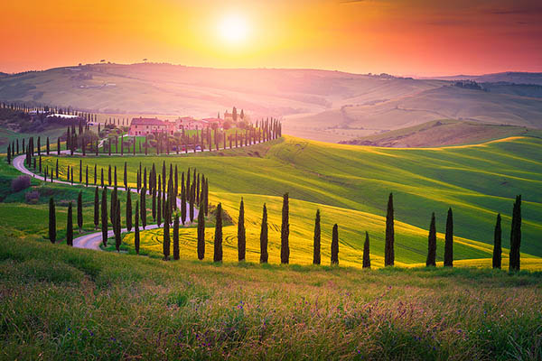 Field in Tuscany, Italy at sunset.