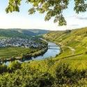 The river Moselle known for the wine growing region around it.