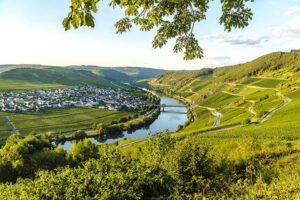The river Moselle known for the wine growing region around it.