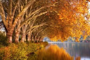 Baldeneysee in Germany during autumn. By EvgeniT on Pixabay.