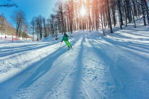 Skier seen through trees.